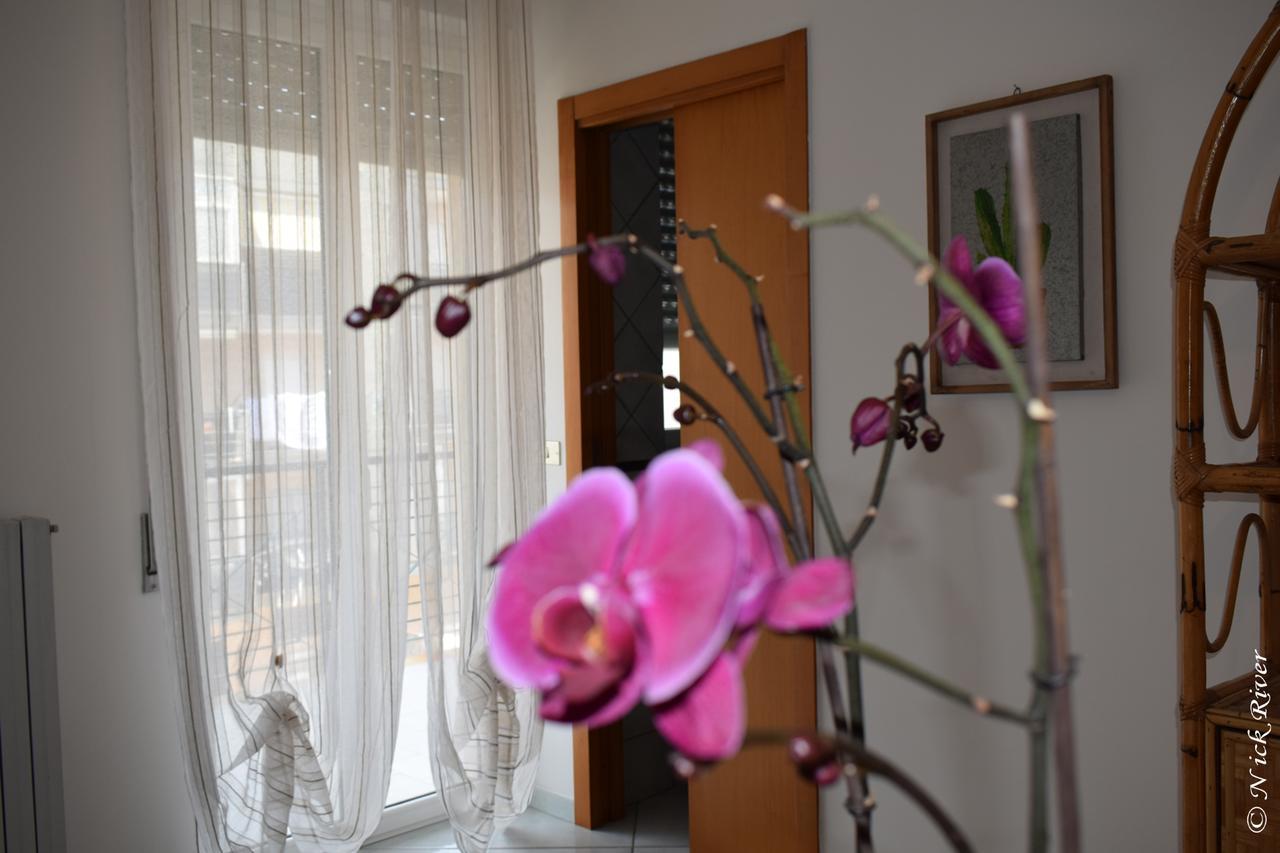 Vacation House A Mola Di Bari Apartment ภายนอก รูปภาพ